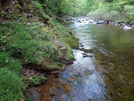 渓流ミノーイング